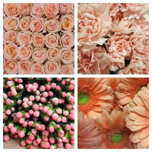 Shades of Peach Bulk Bundle
